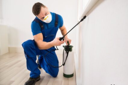 What Are The Benefits of Mold Remediation