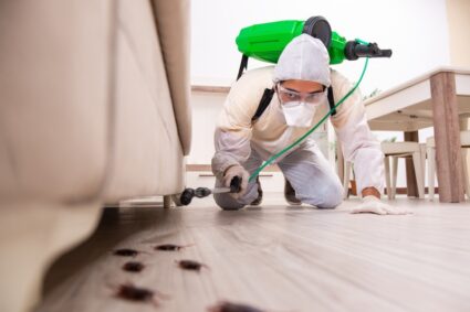 The Impact of Pest Infestations on Home Health