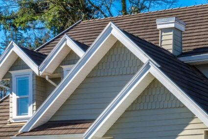 Want to understand the importance of residential roofing