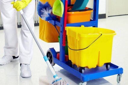 The Role of House Cleaning in Dublin’s Health and Hygiene Standards
