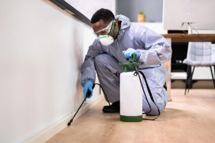 What to Expect from a Professional Pest Control Service in Singapore