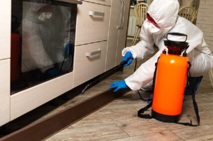 The Hidden Pest Control Playbook for F&B Businesses