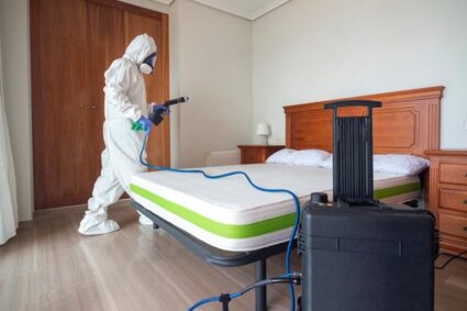 8 Common Signs You Need Professional Pest Control Immediately