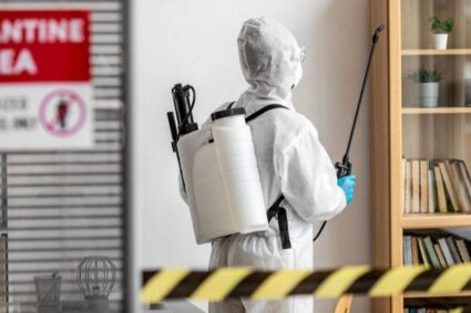 Why Termite Control Is Essential for Properties in Singapore’s Climate